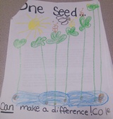 Kid’s Art of One Seed