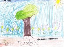 Kid’s Art of One Seed