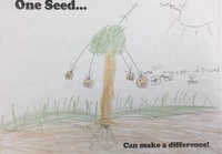 Kid’s Art of One Seed