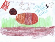 Kid’s Art of One Seed